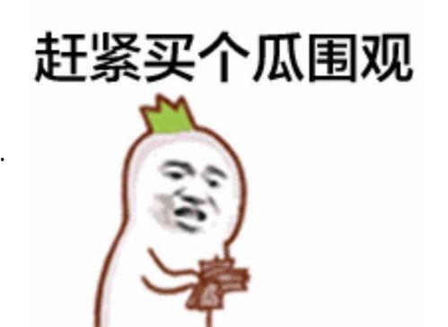 吃瓜表情包转场视频,趣味横生的视觉盛宴