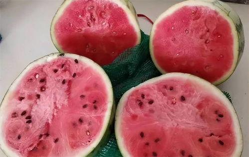 北京吃麒麟瓜的视频,麒麟瓜的甜蜜诱惑