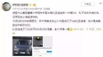 吃瓜群众过年的视频,欢声笑语，年味十足