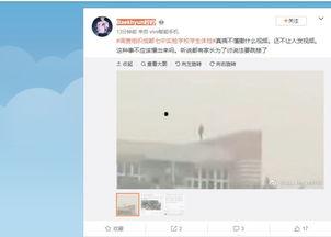 温江吃瓜新闻视频播放时间,视频播放时间揭秘，精彩瞬间不容错过