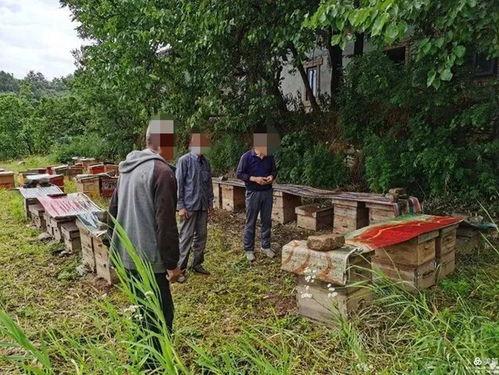 西安吃瓜比赛事件视频,现场视频曝光引热议