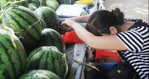 没有力气吃瓜的视频,揭秘网络现象背后的真实情感