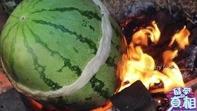 地球吃瓜视频,揭秘“吃瓜”现象背后的自然奥秘