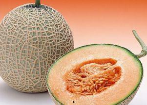 减脂能否吃哈密瓜呢视频,哈密瓜在减脂饮食中的角色探讨