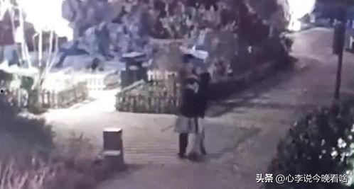 国民党吃瓜视频大全集,揭秘历史瞬间