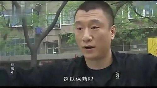 视频吃瓜少年,网络红人的崛起与争议