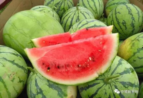 最甜的吃瓜视频,揭秘明星幕后趣事！