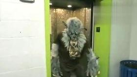 吃瓜熊猫人视频解说大全,视频解说大全精彩回顾