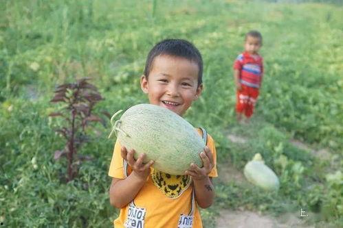 四川小孩吃瓜视频完整版,趣味横生的童年瞬间