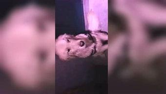 木木吃瓜视频完整版,揭秘娱乐圈幕后真相，完整版视频大揭秘