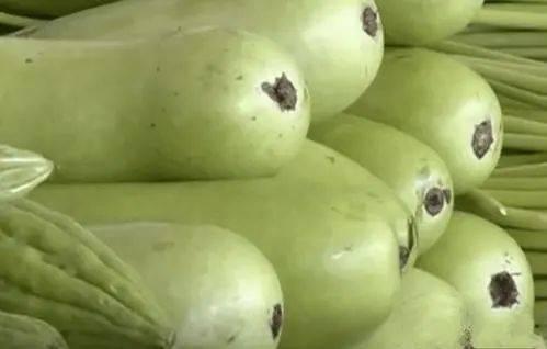 葫芦瓜能干啥吃的呢视频,从家常菜到创意料理