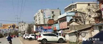 贵阳金融城吃瓜事件视频,一场网络热议的围观盛宴