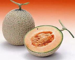 水瓜布怎么吃才好吃视频,解锁美味新吃法