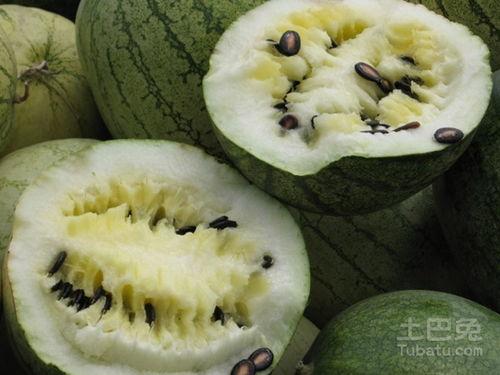 籽瓜生芽可以吃吗视频讲解,视频讲解揭秘