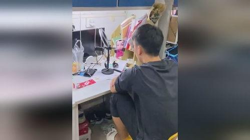 看人家吃瓜视频违法吗,法律边界与网络监管探讨