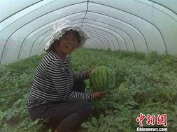 农民家中吃瓜视频,农民家中吃瓜视频展现田园生活风采