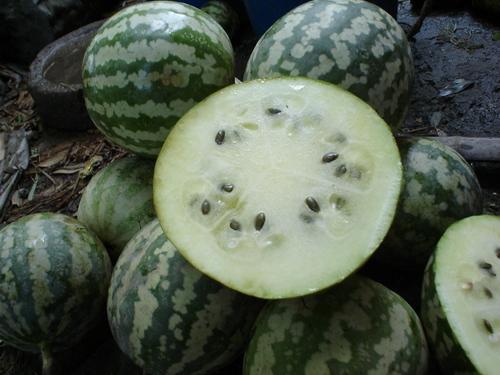 土儿瓜怎么吃视频,视频教你轻松烹饪美味佳肴