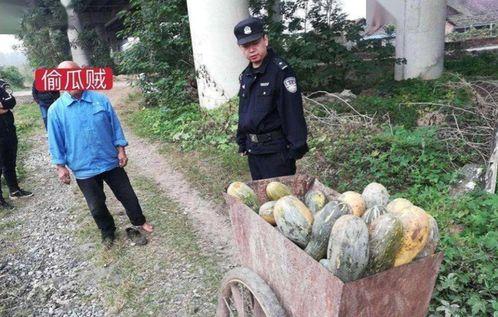 昭东市场吃瓜事件视频曝光,视频曝光揭示惊人真相