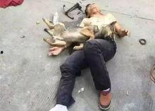 吃瓜中毒死亡视频大全,揭秘吃瓜中毒死亡事件视频集锦