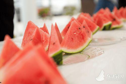 上海人全国吃瓜视频最新,一场跨越地域的美食文化盛宴