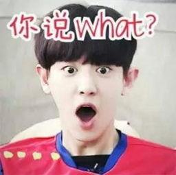 带你吃大瓜奇葩p图视频