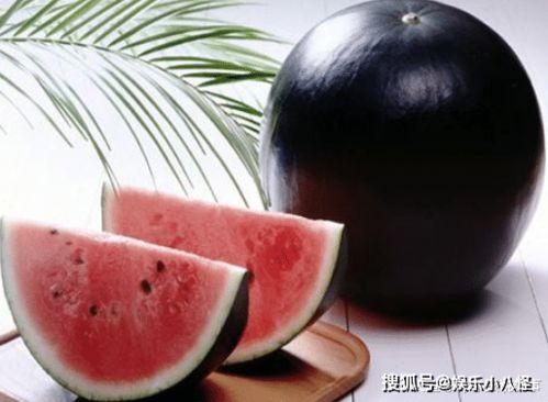 瓜哥吃瓜奇葩图画视频,揭秘那些奇葩图画背后的故事