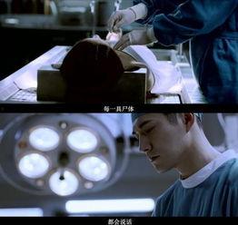 吃瓜视频案件最新,揭秘网络谣言背后的真相与法律边界