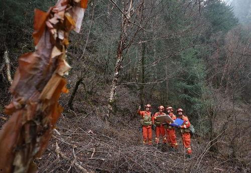 林海公园吃瓜事件视频,一场引发热议的网络视频风波