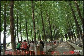 林海公园吃瓜事件视频,一场引发热议的网络视频风波