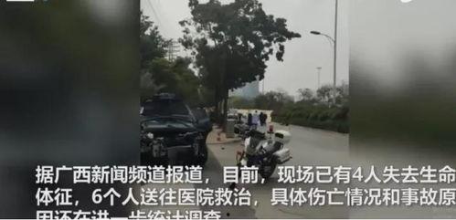 缉毒吃瓜现场视频,吃瓜群众见证正义瞬间