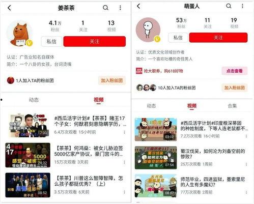 吃瓜视频文字转来转去,文字流转背后的娱乐狂欢