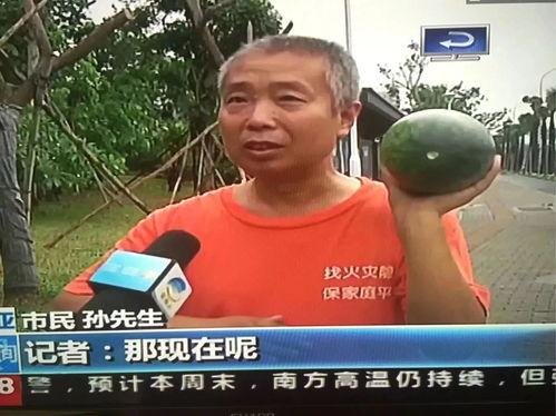 天津最新吃瓜事件新闻视频,揭秘背后真相与热议焦点