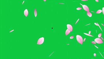 吃瓜绿幕素材视频下载,下载与制作全攻略