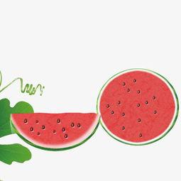 吃瓜音乐背景视频下载免费