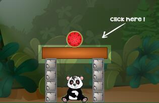 大熊猫吃瓜小视频