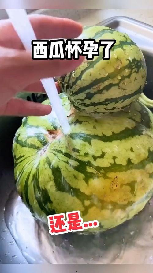 吃瓜食品配音视频,揭秘吃瓜食品配音背后的趣味与魅力