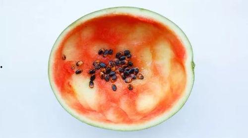 吃瓜用勺刮的视频,用勺子刮瓜视频走红网络