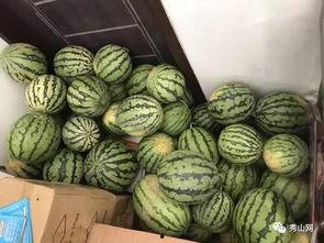 任丘有吃瓜视频吗现在,揭秘当地吃瓜视频背后的故事